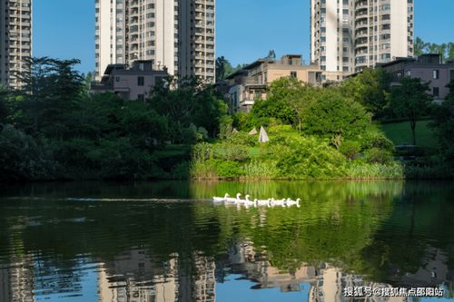 華發觀山水 華發觀山水售樓處 網站 華發觀山水售樓處歡迎您 樓盤詳情