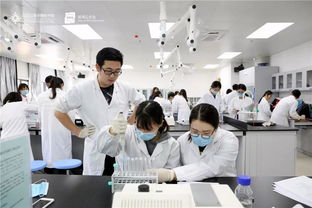 粵港澳大灣區發展規劃綱要 出爐,北師港浸大如何持續發力